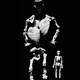 Image for article titled Bones of the Gigantomachy